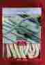 047532 Dock Line Premium Nylon 5 8 X 25 Gold White Double Braided Marine Rope 013893475329