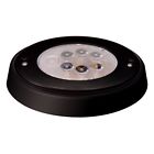061-5000-7 Innovative Lighting 6-led Oval 601373061508