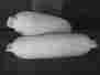 1028cb-m01 Seasence 2 Ribbed 20 Boat Fenders Bumpers Mooring Protection
