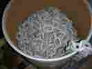 4225 Acco Anchor Chain 1 2 Usa Iso G43 Ht Galvanized 200 Feet