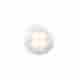 980500541 Hella White Courtesy Lamp 760687097259