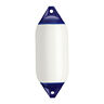 F-5-white Polyform Us Twin Eye Fender White 743952005463