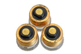Gtl30 Gould 30a-125v Plug Fuses