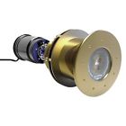 Gw16-ifm-g406 Bluefin Led Great White
