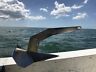 Sh16 Sea Halt Stainless Steel Delta Anchor Marine Grade
