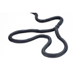 Seachoice Double-braid Nylon Dock Line W/ Eye Splice, Pre-shrunk, Heat Stabilize. Fixed Price $56.09.