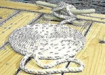 Seachoice 47581 Dock Line With Tracer 1/2" X 30'. Fixed Price $30.05.