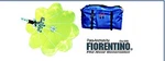 Fiorentino Coast 9 Para Anchor. Fixed Price $349.00.