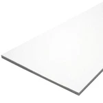 Taco Marine Lumber 24" X 27" 1/4" White Starboard #P10-2524WHA27-1C. Fixed Price $68.60.