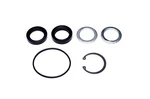 Steering Gear Pitman Shaft Seal Kit Sunsong For 1972-1974 Dodge D100 Pickup. Fixed Price $29.81.
