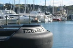 Single Piece Pile 400-BLACK All-tide, All-weather, Boat Mooring Device. Fixed Price $329.00.
