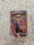Wwe Elite Flashback First Time Line 1-2-3 Kid Tag Team Title New Protector. Fixed Price $65.00.