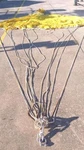 Boaters Resale Shop Of Tx 2411 1427.12 Fiorentino 18' Para-anchor System FPA-18. Fixed Price $943.90.