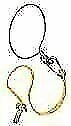 T-h Marine AR0DP Anchor Master Without Buoy. Fixed Price $115.61.