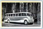 Muir Woods California Postcard Gray Line Bus Big Trees Exterior 1940 Vintage. Fixed Price $6.47.