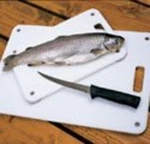Ironwood Pacific Land Anchor Basic. Fixed Price $64.66.