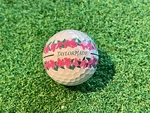 Taylormade TP5 Stripe Season Opener Limited Edition Golf Balls 2025 Masters. Fixed Price $279.95.