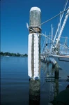 Taylor Made Products DB4 Dock And Post Bumpers. Fixed Price $92.57.