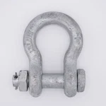 Galvanized Bolt-type Anchor Shackle. Fixed Price $27.95.